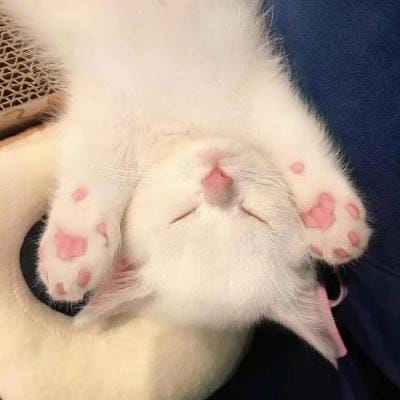 Michael Hartono avatar