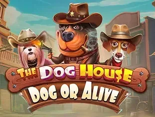 The Dog House - Dog Or Alive screenshot